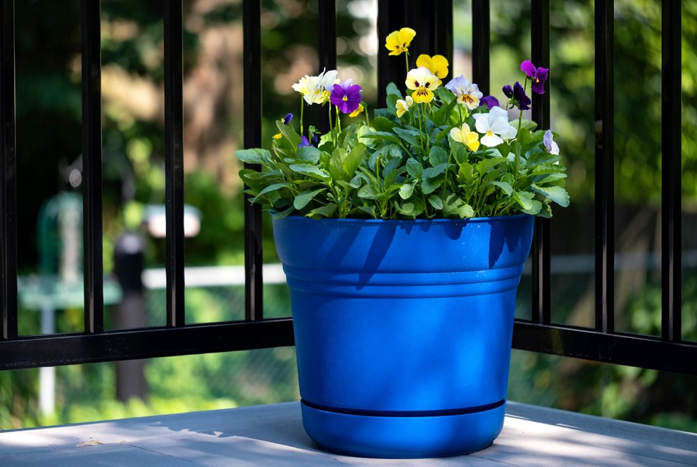 7 Tips To Get Your Deck Ready For The Spring